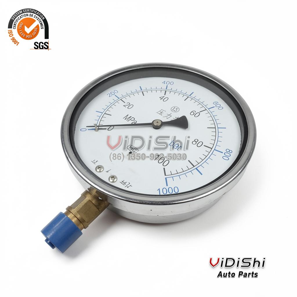 The CX-PG-P 0~40 Mpa 60mm Radial Install Stainless Steel 2.5% High Accuracy Oil Filled Pressure Gauge front view
