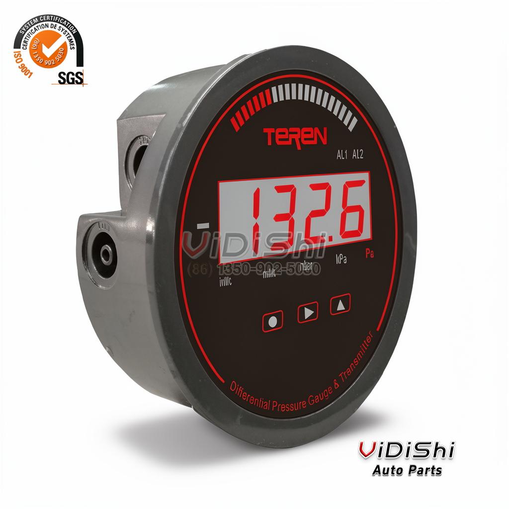 All Products 8 Digital air Pressure Gauge Meter for Heating System gallery view