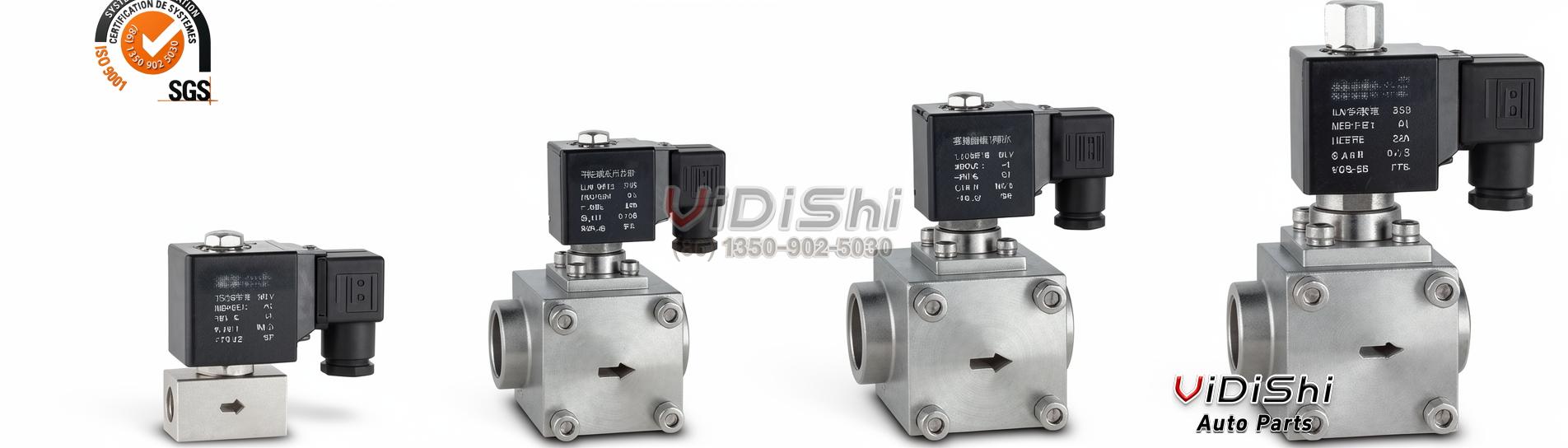 All Products 8 High Pressure Stainless Steel Solenoid Valve Two-Way Pilot Operated High Pressure for Gas OEM Customizable General gallery view